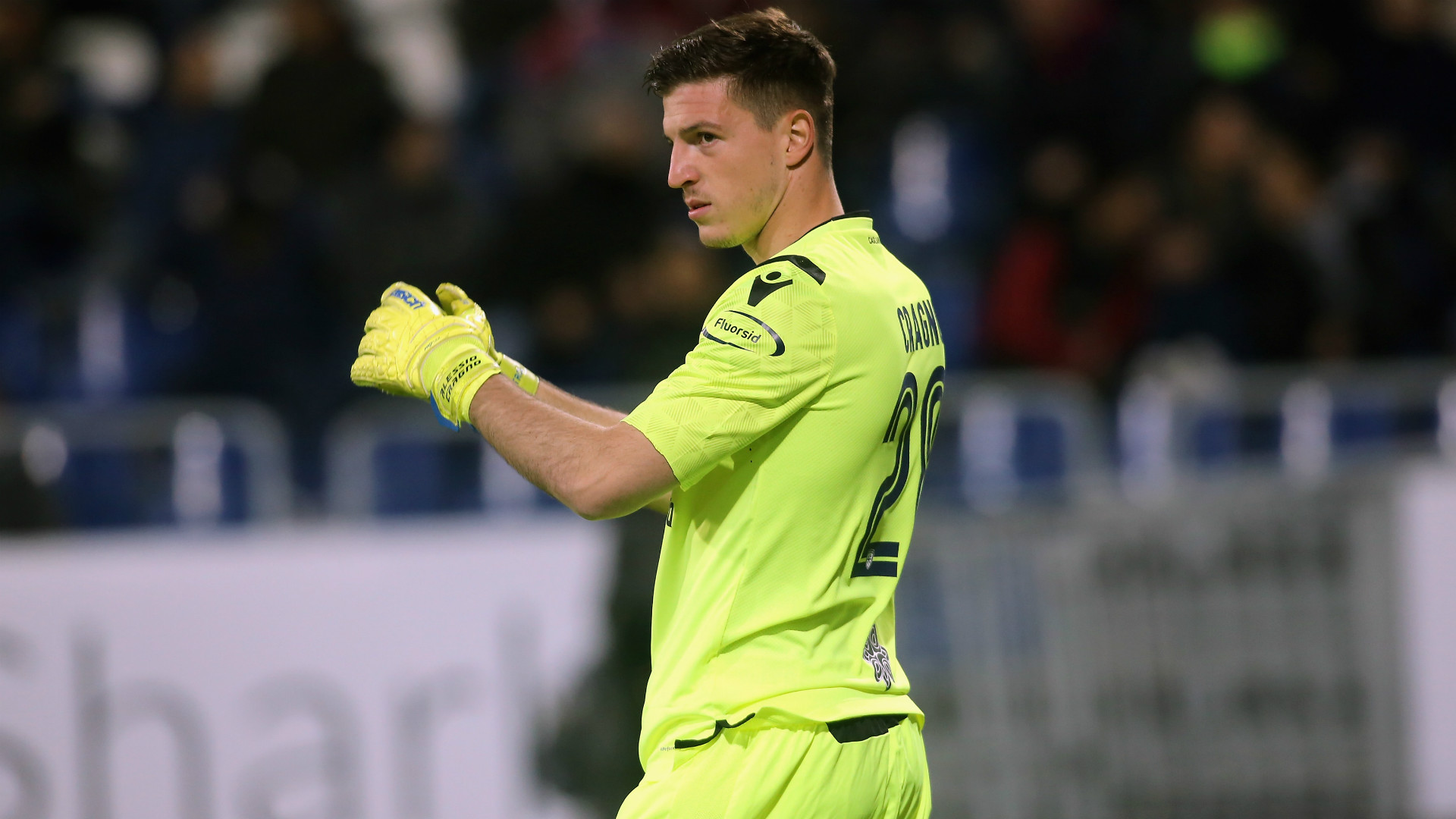 他们的兴趣 他们的兴趣